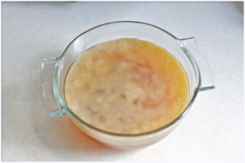 kombucha-brewing-sayward-rebhal-04