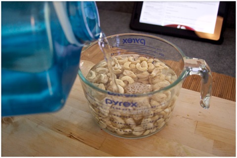 spicy-cashew-raw-cheese-03