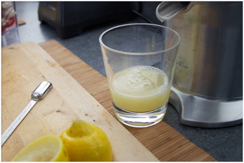 spicy-cashew-raw-cheese-05